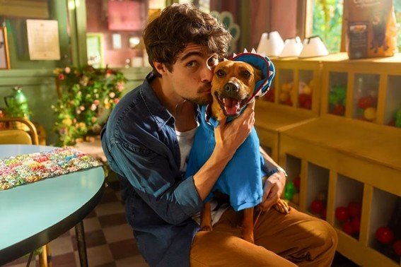 Imagem46