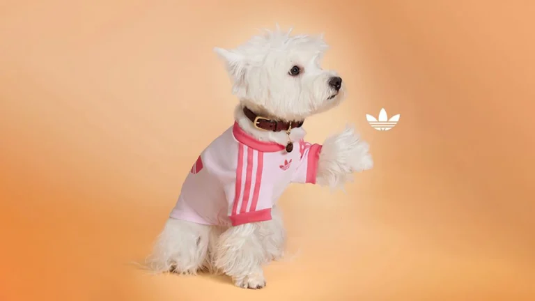 Adidas-Originals-Pets-2025-0-2-jpg