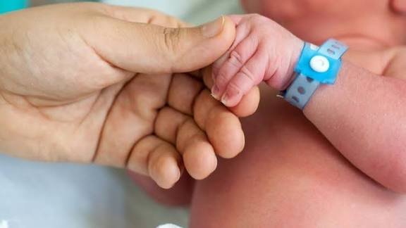 WhatsApp Image 2025-11-04 at 07.46