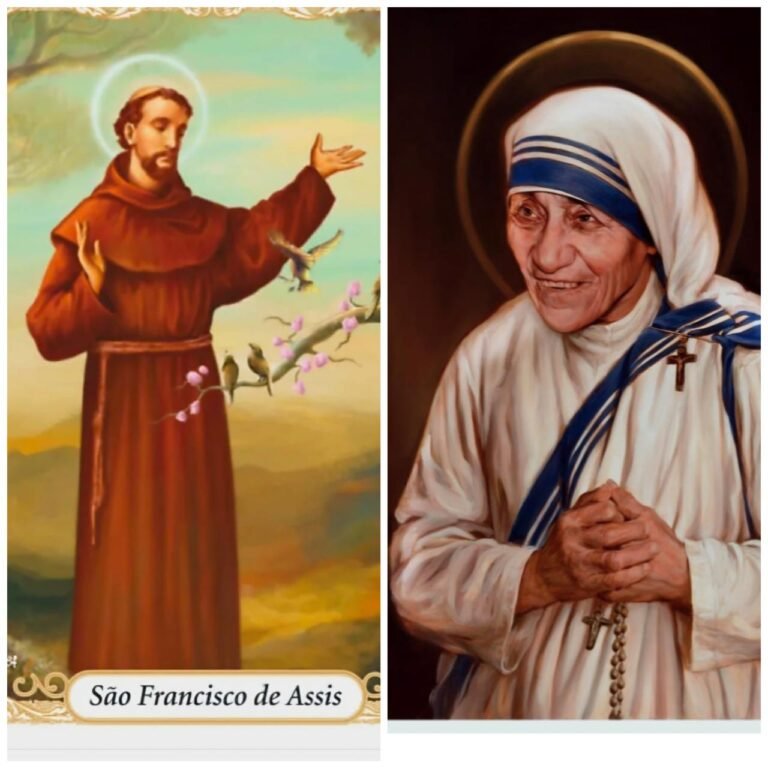 WhatsApp Image 2025-11-05 at 08.49