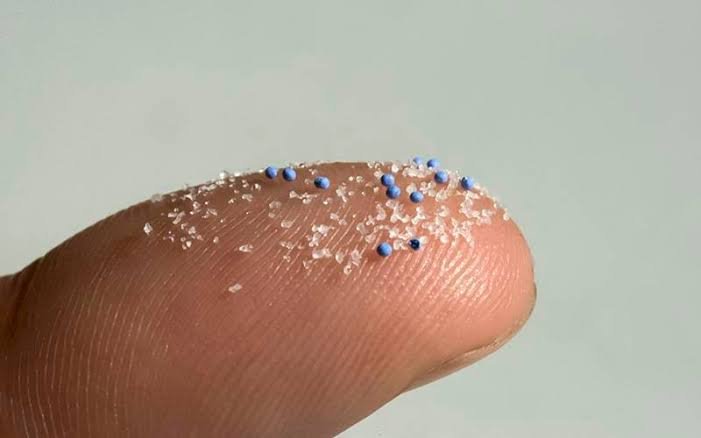 WhatsApp Image 2025-11-07 at 08.20