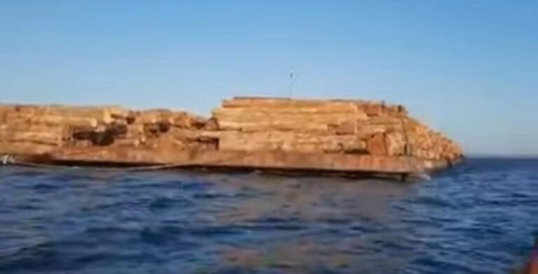 WhatsApp Image 2025-11-09 at 09.48