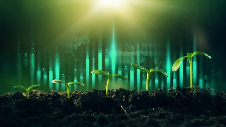 WhatsApp Image 2025-11-18 at 10.13