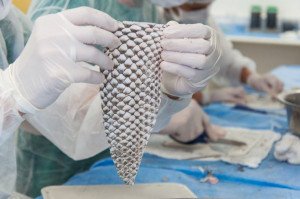 c3f79d81-2998-48c8-a32c-08434c6b2e08