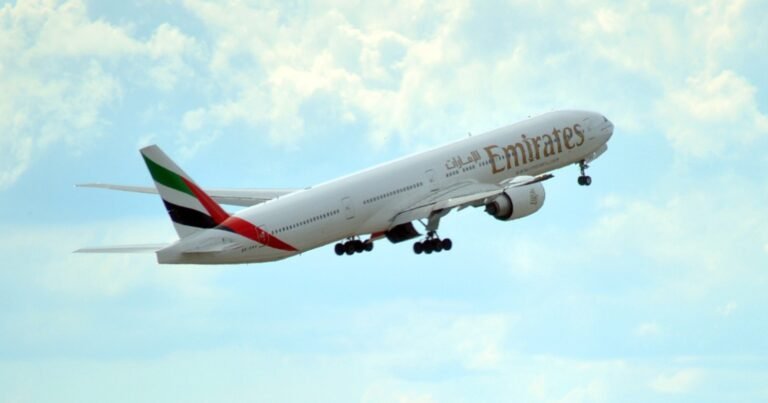 WhatsApp Image 2025-12-01 at 11.49