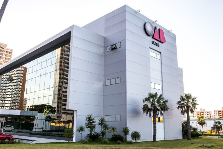 WhatsApp Image 2025-12-19 at 11.00