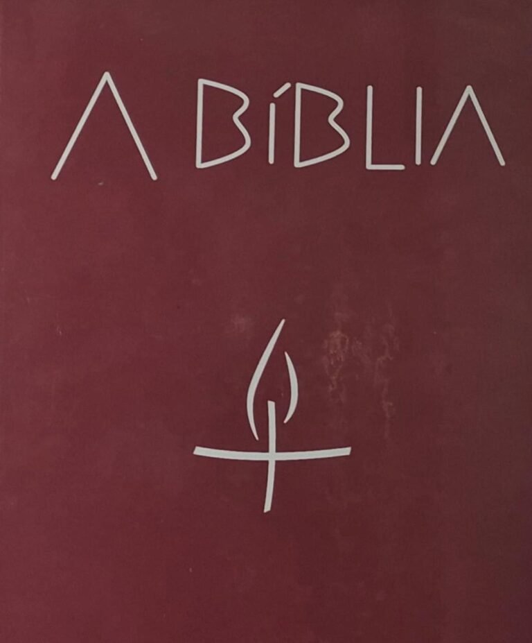 WhatsApp Image 2026-01-03 at 08.42