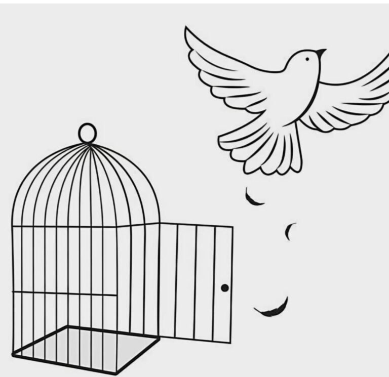 WhatsApp Image 2026-01-10 at 09.20