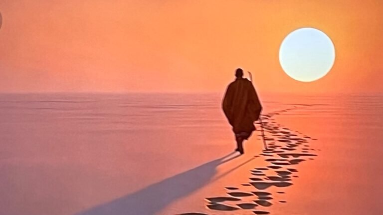 WhatsApp Image 2026-02-01 at 11.14