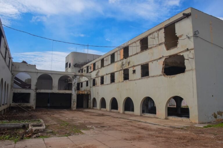 WhatsApp Image 2026-02-04 at 15.16