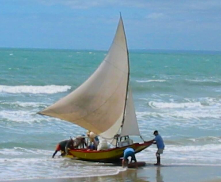 WhatsApp Image 2026-02-10 at 21.28