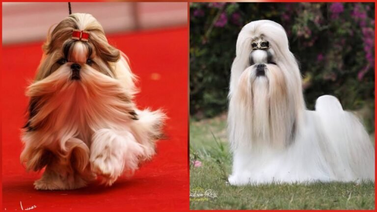 FotoGrid_20260324_205421876