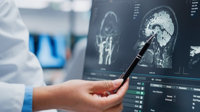 WhatsApp Image 2026-03-04 at 17.41