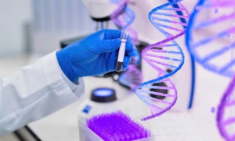 WhatsApp Image 2026-03-28 at 11.48