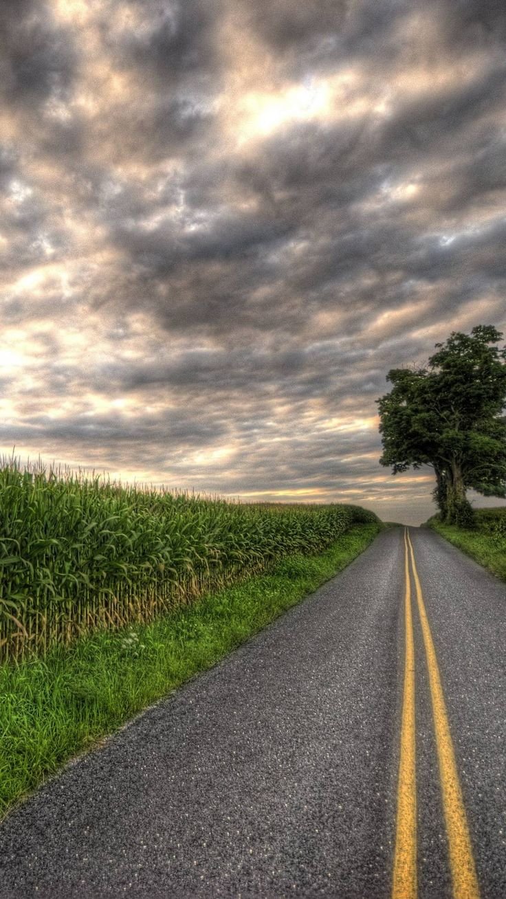 2edbcdbd8e047f2ad69ae52be8c25660