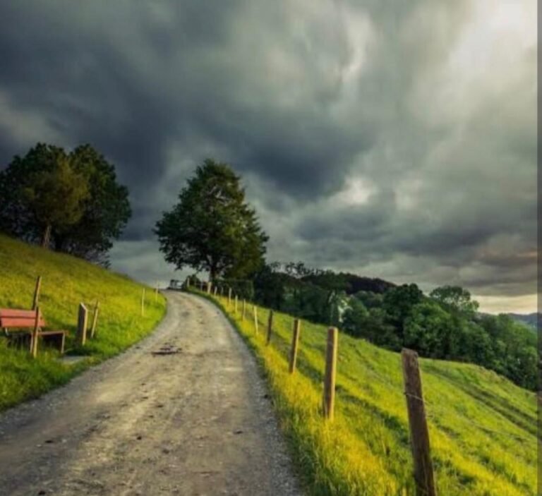 WhatsApp Image 2026-04-12 at 13.22