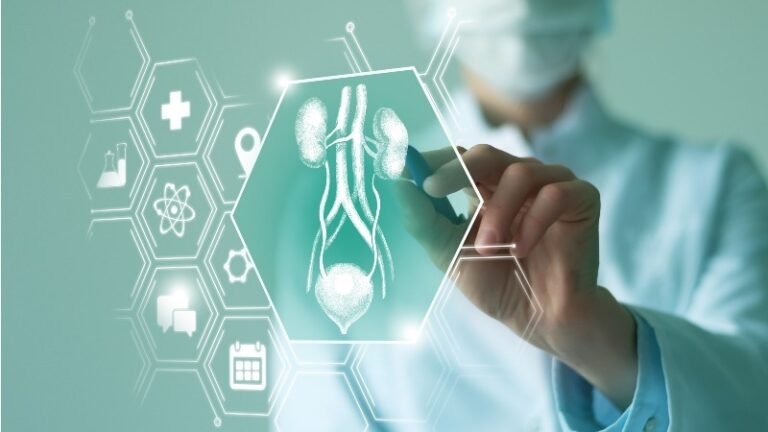 WhatsApp Image 2026-04-16 at 17.32