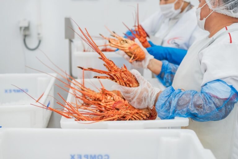 WhatsApp Image 2026-04-29 at 12.50