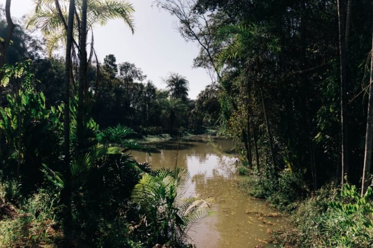 paisagem-museu-bernardo-paz